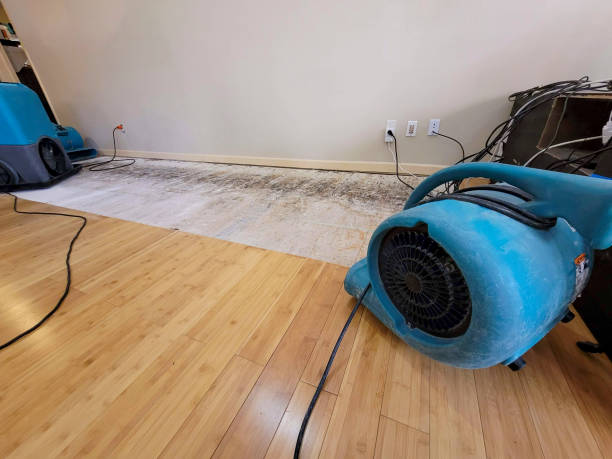 Professional Burst Pipe Water Damage technician working in Bucoda, WA